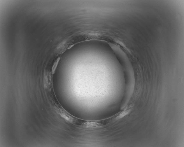 X0000078890528200611201440