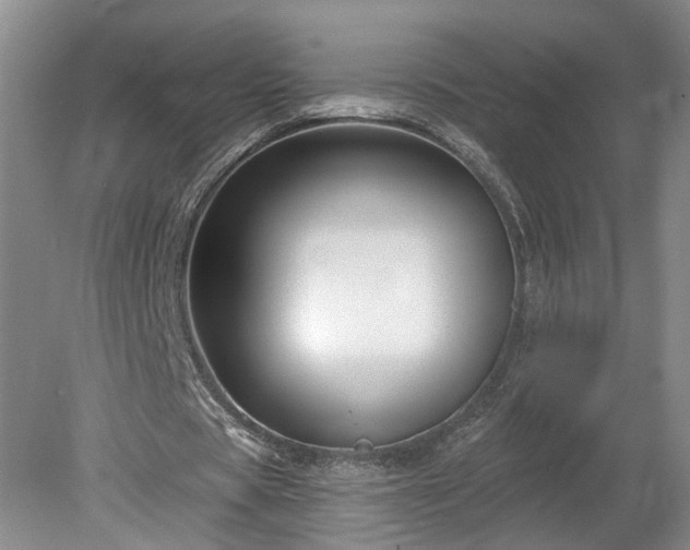 X0000078890529200611201439