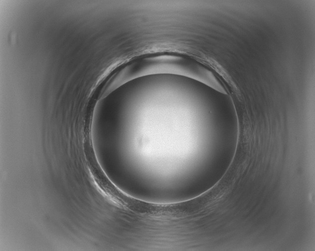 X0000078890530200611201439