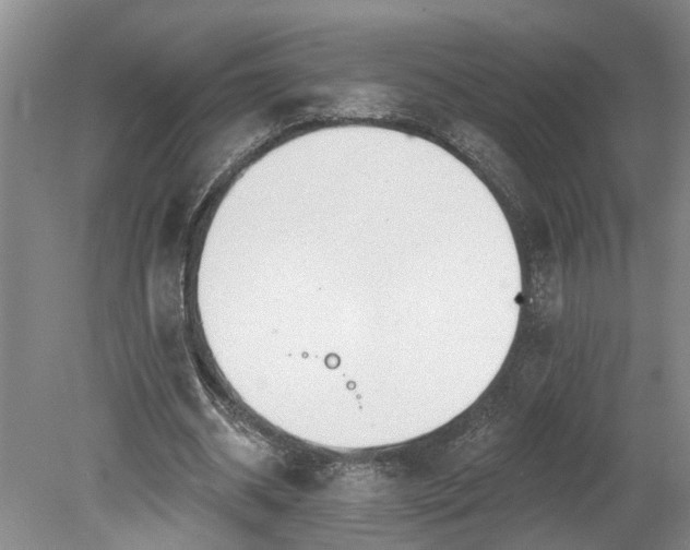 X0000078890534200611201439