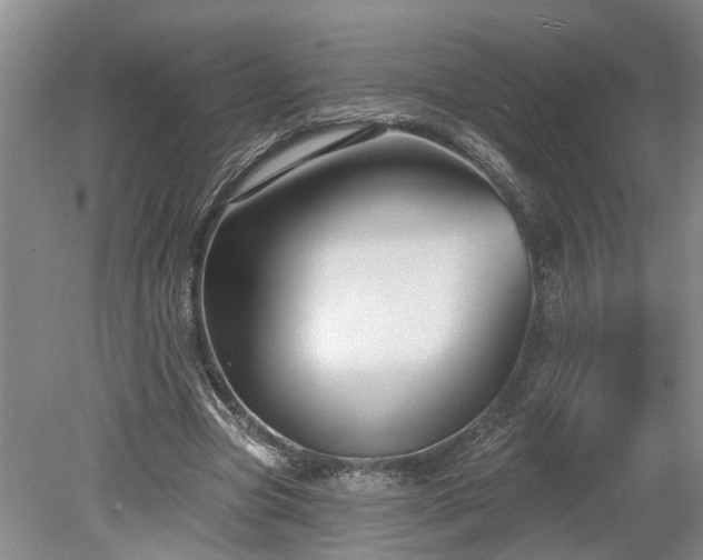 X0000078890537200611201439