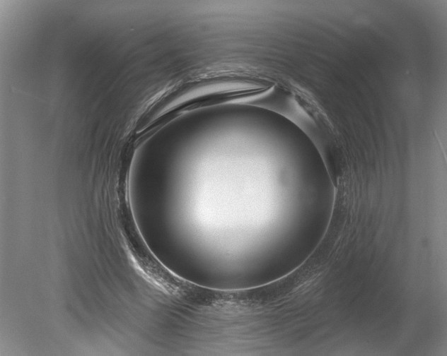 X0000078890538200611201439