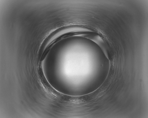 X0000078890540200611201439