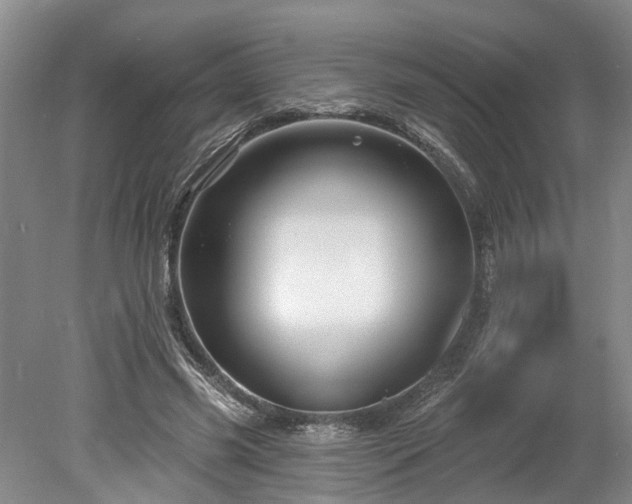 X0000078890541200611201439