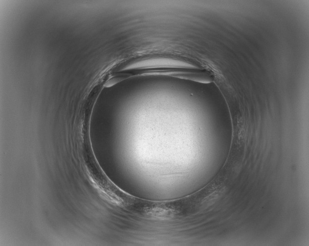 X0000078890542200611201439