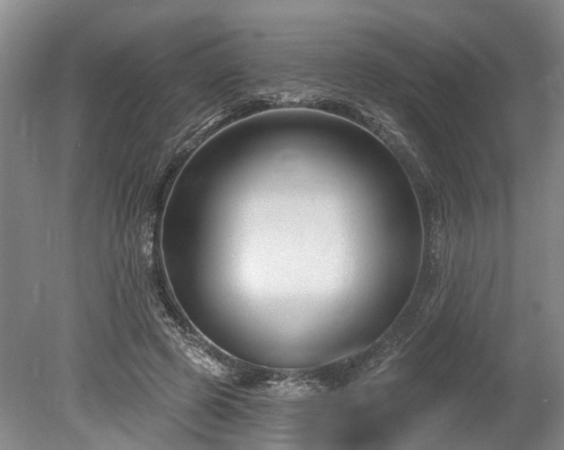 X0000078890545200611201439