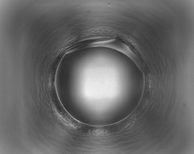 X0000078890546200611201439