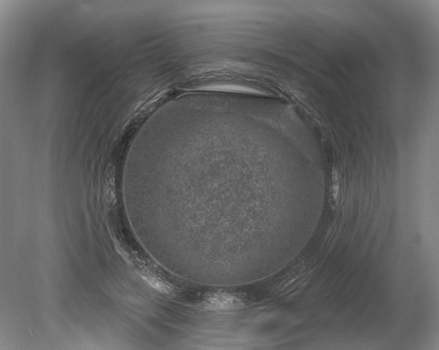 X0000078890547200611201439