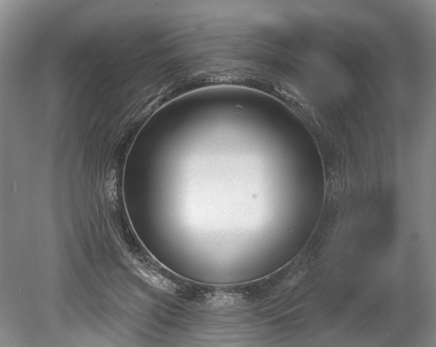 X0000078890549200611201439