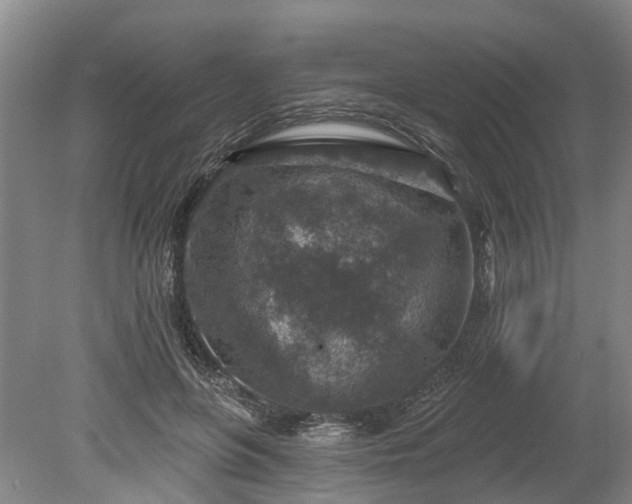 X0000078890551200611201439