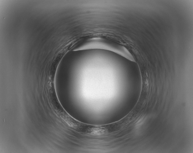 X0000078890555200611201439