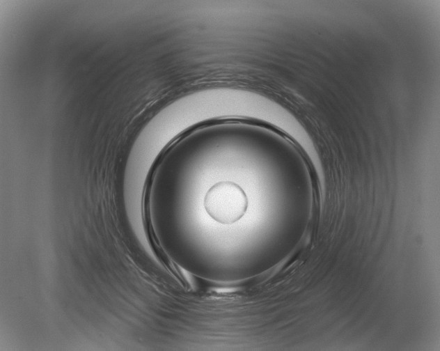 X0000078890556200611201439