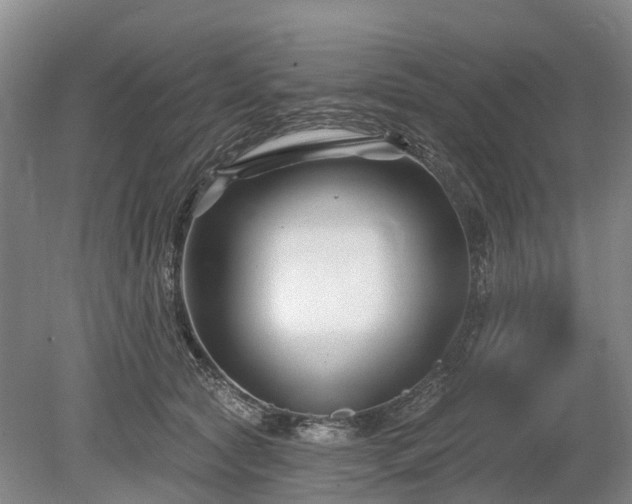 X0000078890561200611201439