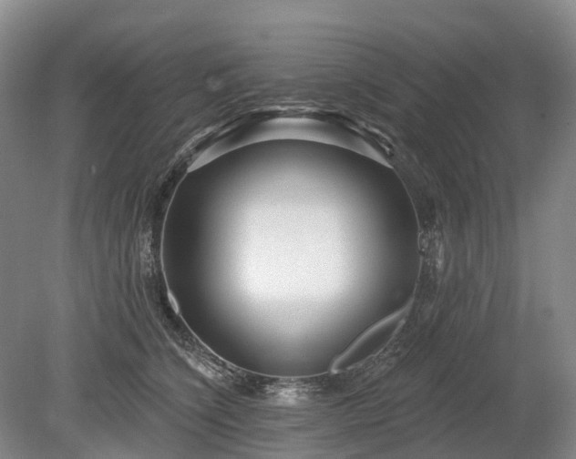 X0000078890564200611201439