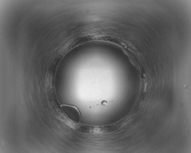 X0000078890565200611201439