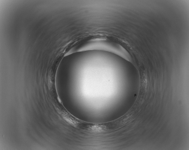 X0000078890566200611201439