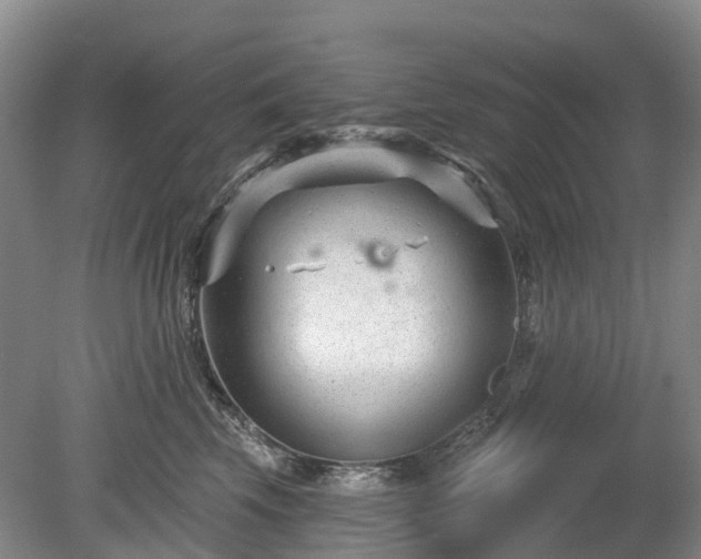 X0000078890569200611201440