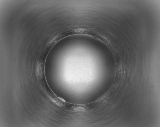 X0000078890572200611201440