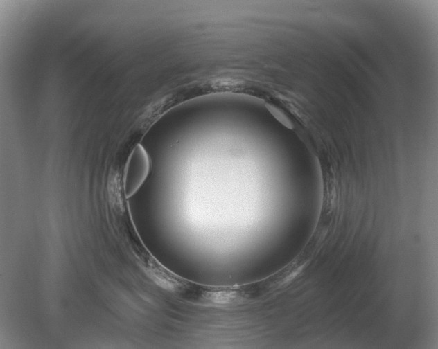 X0000078890575200611201440