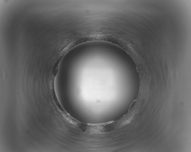 X0000078890576200611201440