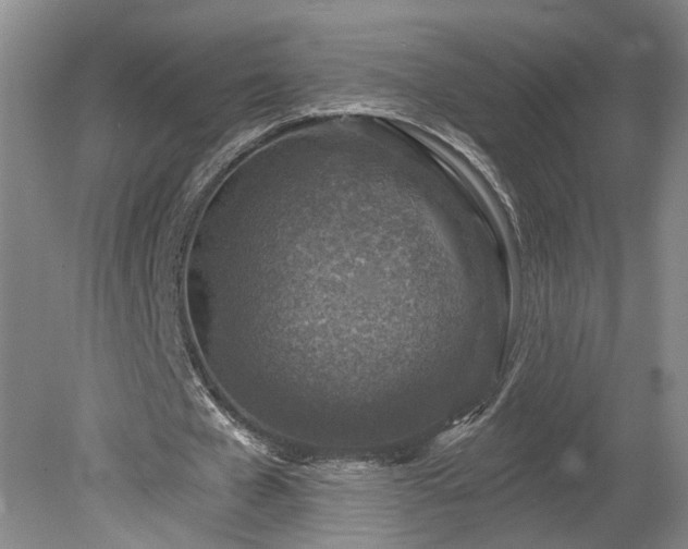 X0000078890577200611201439