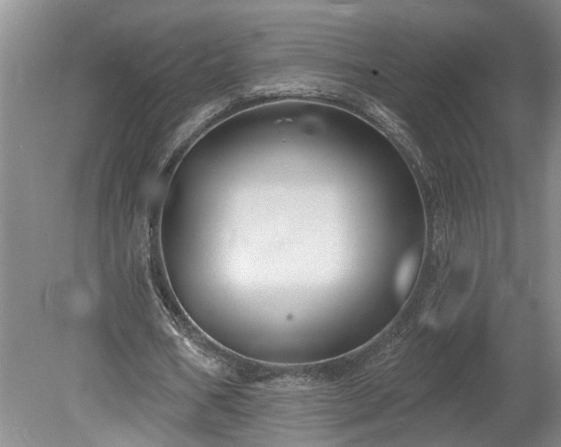 X0000078890578200611201439