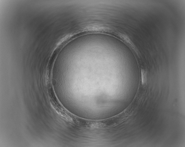 X0000078890579200611201439