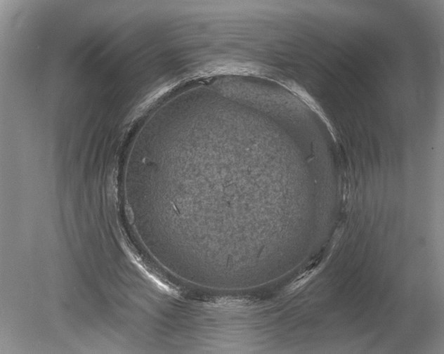 X0000078890581200611201439