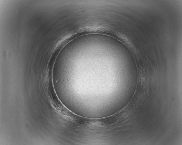 X0000078890583200611201439