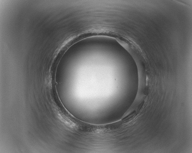 X0000078890584200611201439