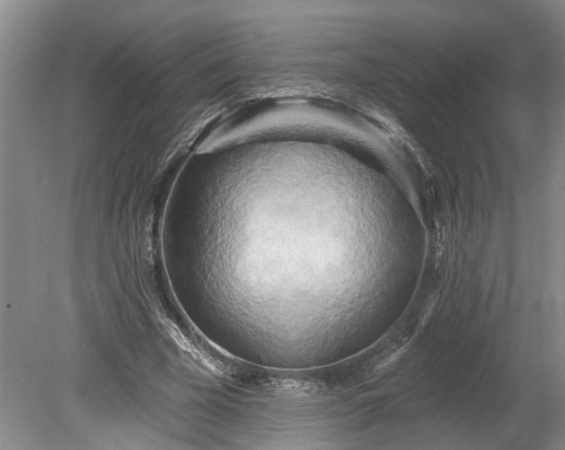 X0000078890585200611201439