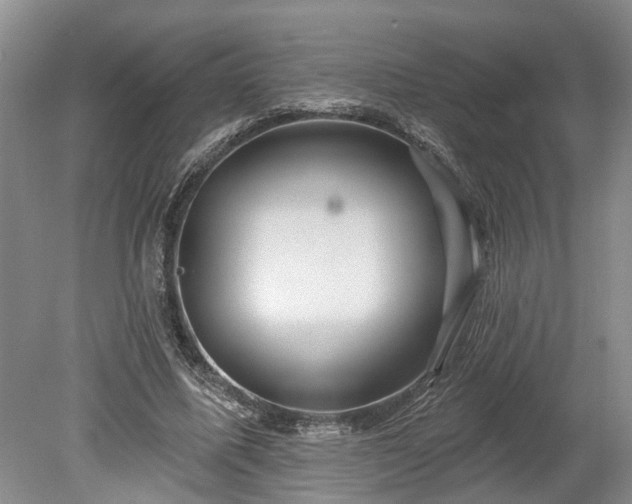 X0000078890587200611201439