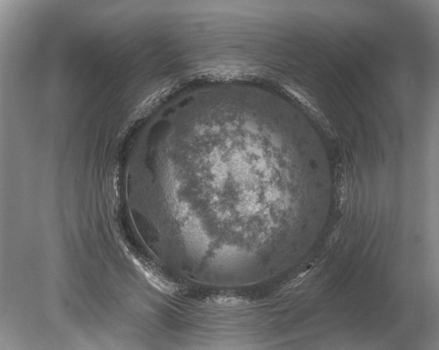 X0000078890590200611201439