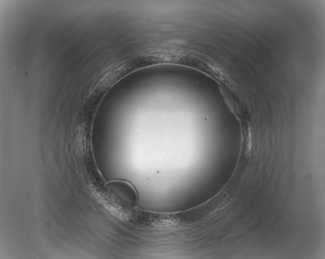 X0000078890594200611201439