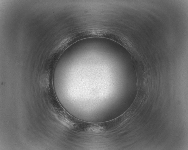 X0000078890595200611201439