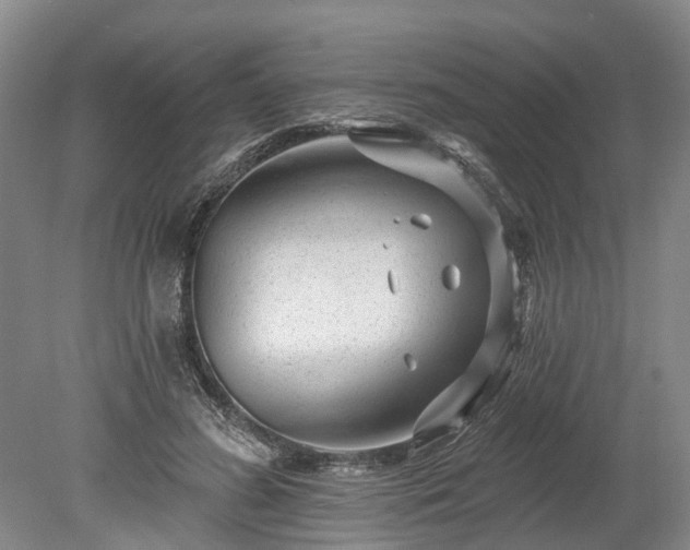 X0000078890596200611201439