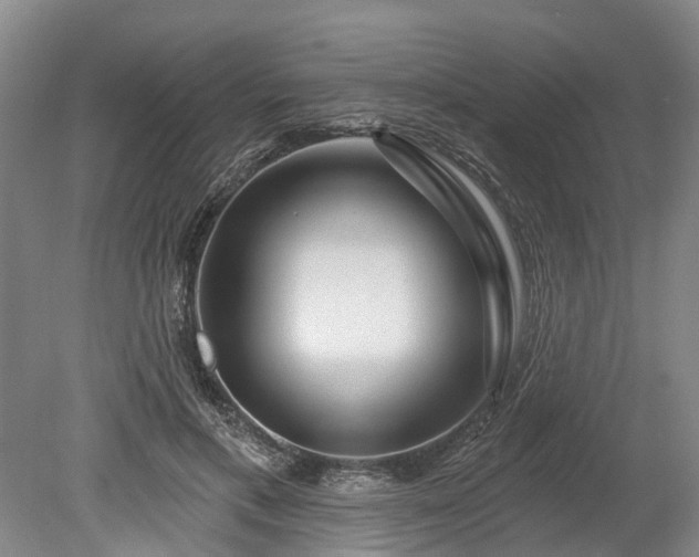 X0000078890597200611201438