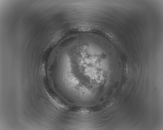 X0000078890598200611201438