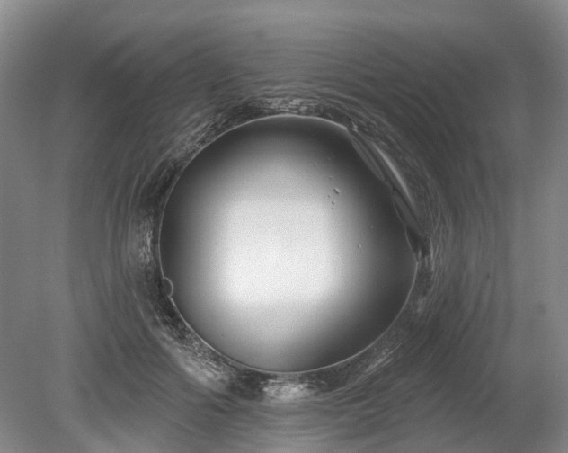 X0000078890602200611201438