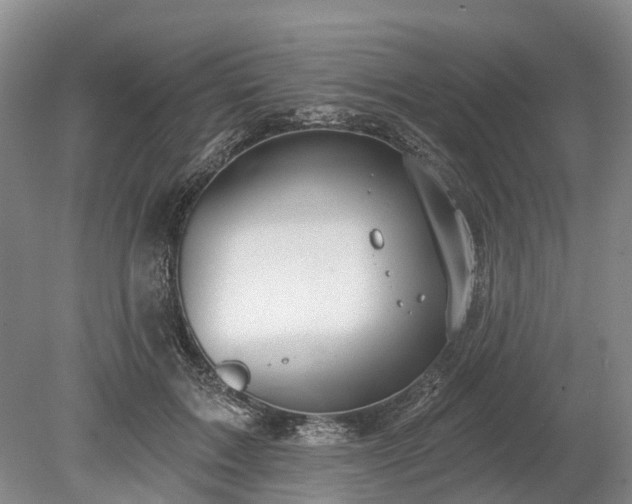 X0000078890603200611201438