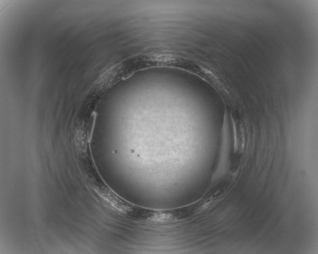 X0000078890609200611201438