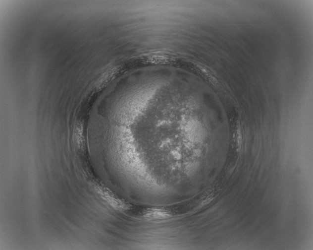 X0000078890610200611201438