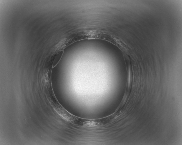 X0000078890611200611201438