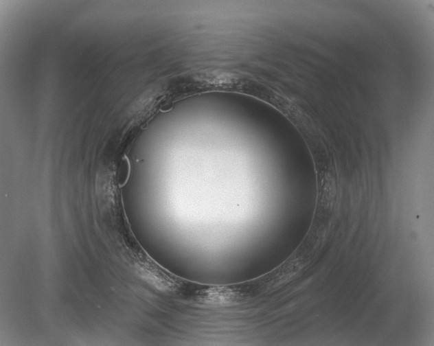 X0000078890612200611201438