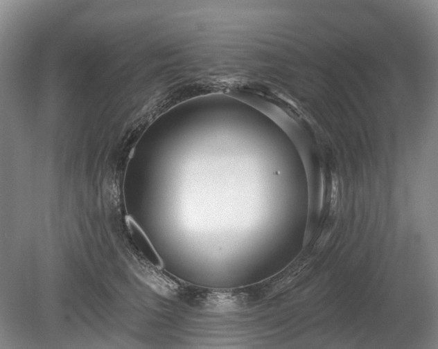 X0000078890613200611201438