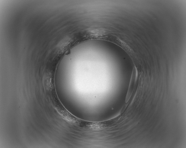 X0000078890615200611201438