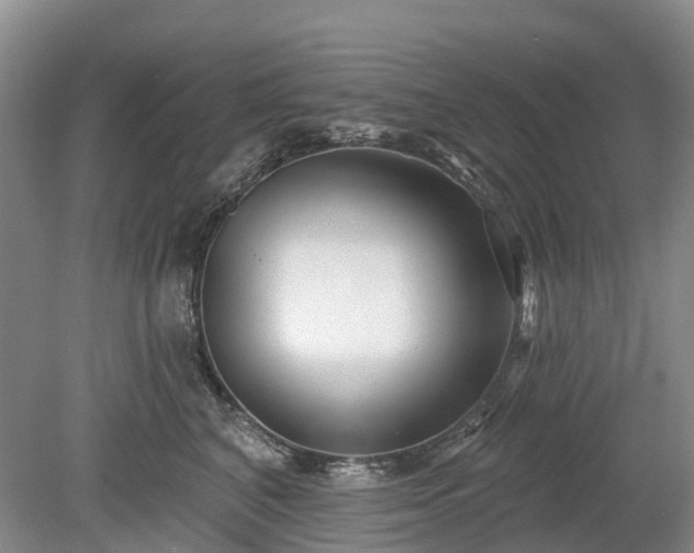 X0000078890616200611201438