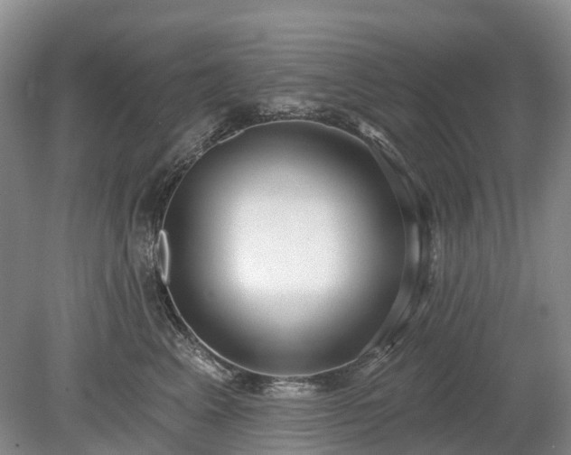 X0000078890617200611201438