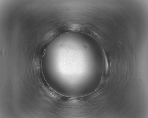 X0000078890620200611201438