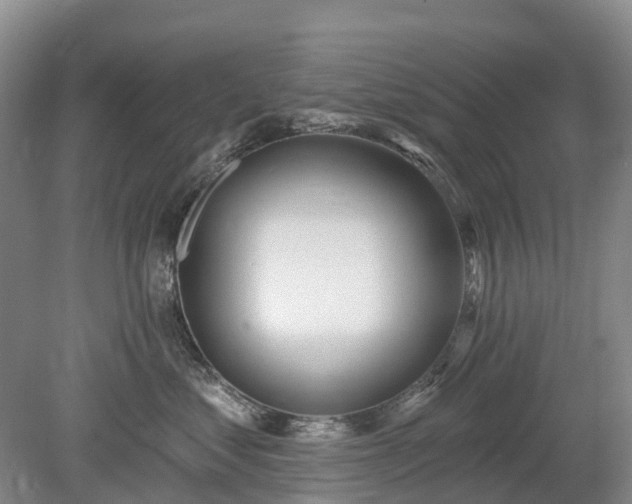 X0000078890621200611201438